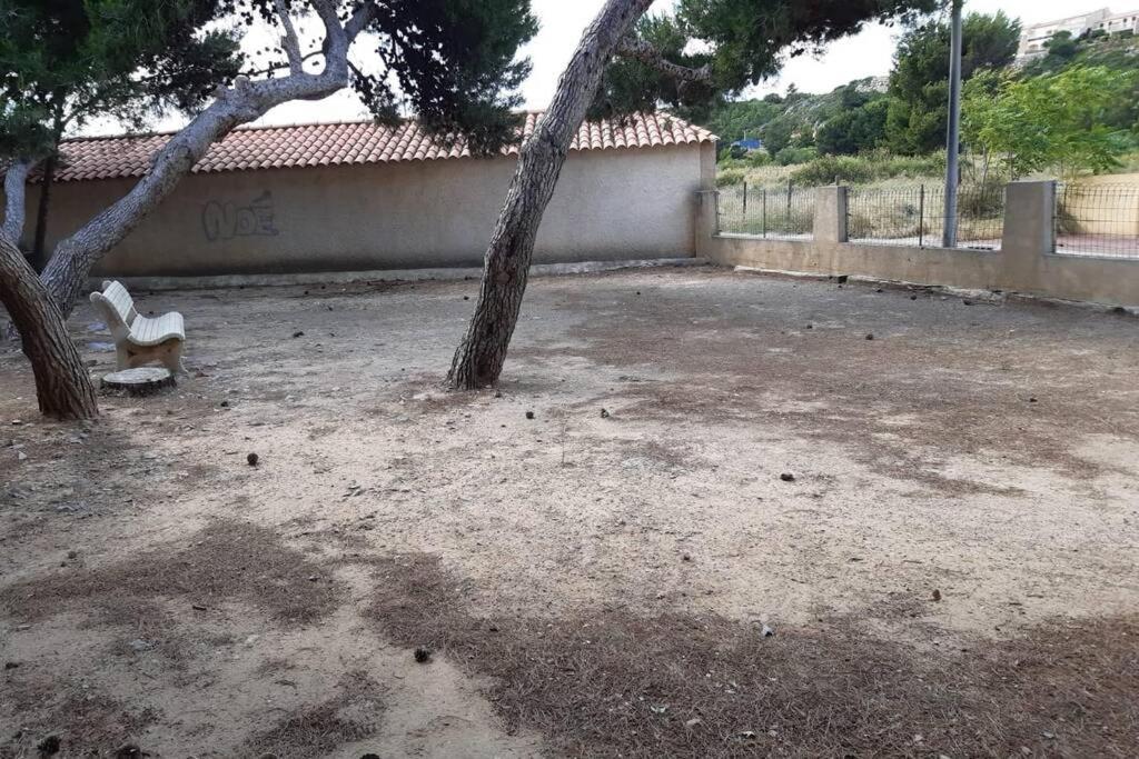 Calme Entre Terre Et Proche Fleury (Aude)
