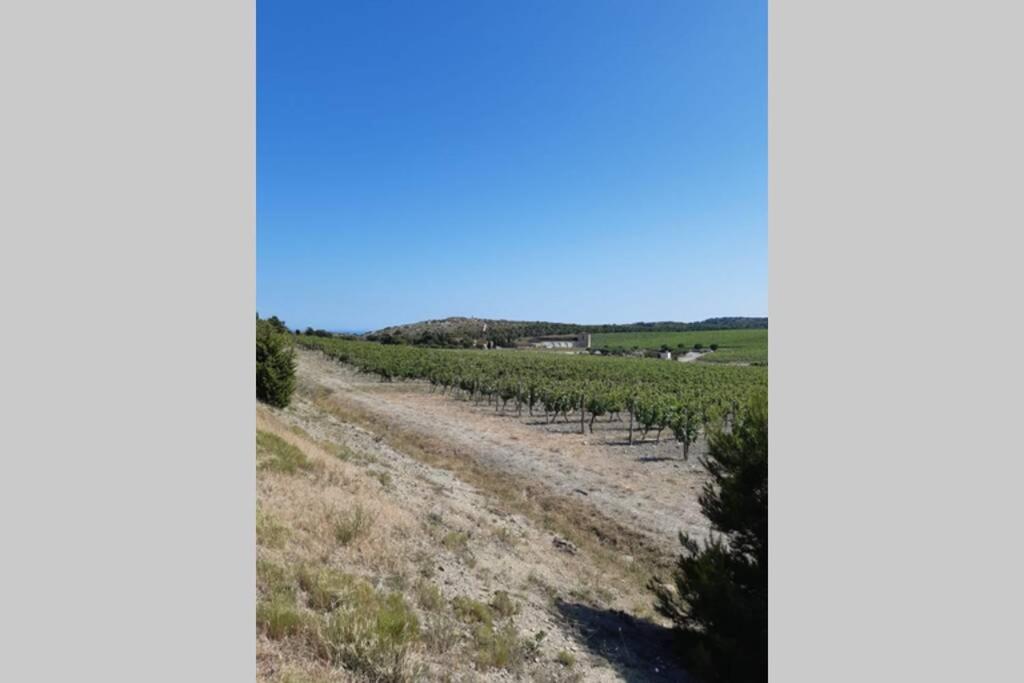 Calme Entre Terre Et Proche Appartement Fleury (Aude)